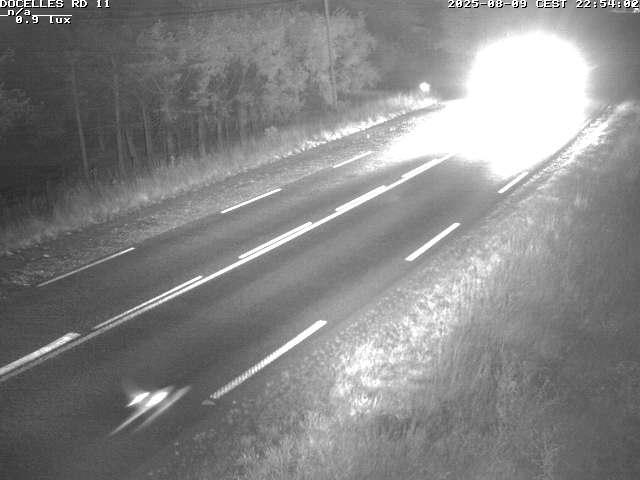 Webcam à 424 mètres d'altitude dans la Tranchée de Docelles dans les Vosges, à proximité d'Epinal sur la route de Gerardmer (D11)