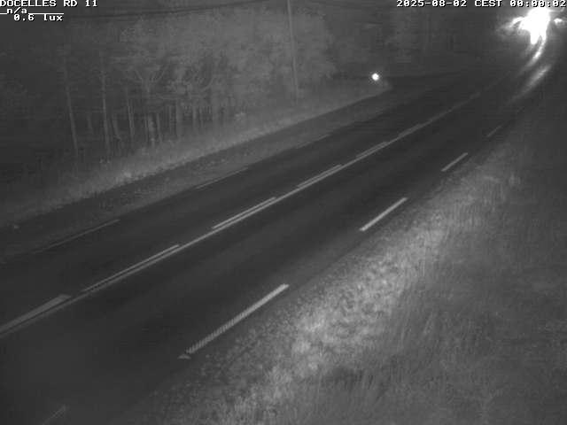 Webcam à 424 mètres d'altitude dans la Tranchée de Docelles dans les Vosges, à proximité d'Epinal sur la route de Gerardmer (D11)