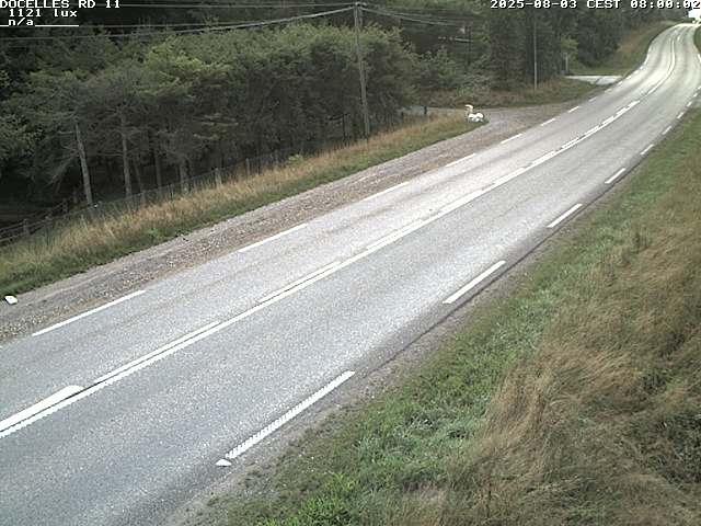 Webcam à 424 mètres d'altitude dans la Tranchée de Docelles dans les Vosges, à proximité d'Epinal sur la route de Gerardmer (D11)