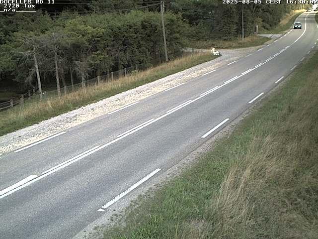Webcam à 424 mètres d'altitude dans la Tranchée de Docelles dans les Vosges, à proximité d'Epinal sur la route de Gerardmer (D11)