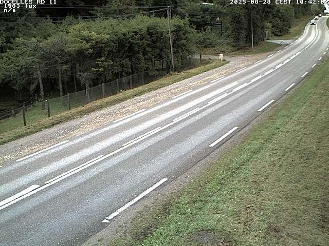 Webcam à 424 mètres d'altitude dans la Tranchée de Docelles dans les Vosges, à proximité d'Epinal sur la route de Gerardmer (D11)
