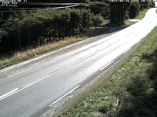 Webcam à 424 mètres d'altitude dans la Tranchée de Docelles dans les Vosges, à proximité d'Epinal sur la route de Gerardmer (D11)