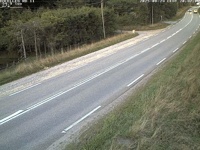 Webcam à 424 mètres d'altitude dans la Tranchée de Docelles dans les Vosges, à proximité d'Epinal sur la route de Gerardmer (D11)