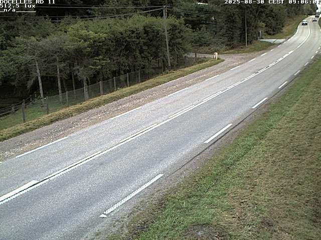 Webcam à 424 mètres d'altitude dans la Tranchée de Docelles dans les Vosges, à proximité d'Epinal sur la route de Gerardmer (D11)
