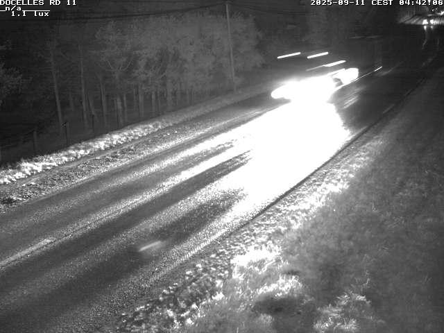 Webcam à 424 mètres d'altitude dans la Tranchée de Docelles dans les Vosges, à proximité d'Epinal sur la route de Gerardmer (D11)