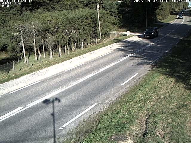 Webcam à 424 mètres d'altitude dans la Tranchée de Docelles dans les Vosges, à proximité d'Epinal sur la route de Gerardmer (D11)