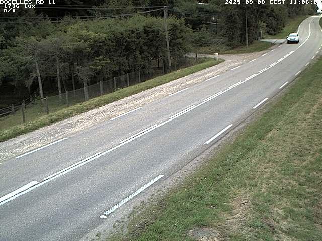 Webcam à 424 mètres d'altitude dans la Tranchée de Docelles dans les Vosges, à proximité d'Epinal sur la route de Gerardmer (D11)
