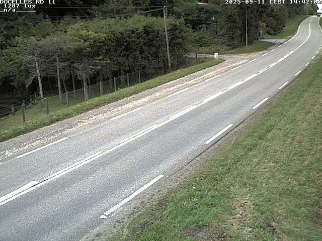 Webcam à 424 mètres d'altitude dans la Tranchée de Docelles dans les Vosges, à proximité d'Epinal sur la route de Gerardmer (D11)