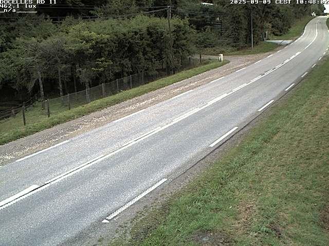 Webcam à 424 mètres d'altitude dans la Tranchée de Docelles dans les Vosges, à proximité d'Epinal sur la route de Gerardmer (D11)