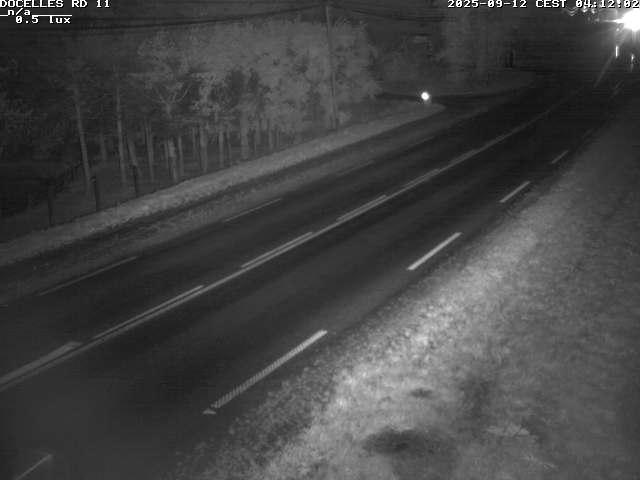 Webcam à 424 mètres d'altitude dans la Tranchée de Docelles dans les Vosges, à proximité d'Epinal sur la route de Gerardmer (D11)