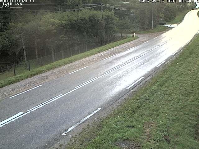 Webcam à 424 mètres d'altitude dans la Tranchée de Docelles dans les Vosges, à proximité d'Epinal sur la route de Gerardmer (D11)