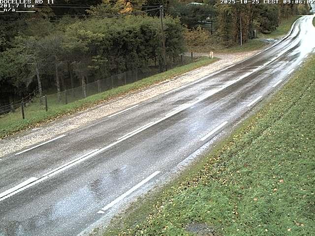 Webcam à 424 mètres d'altitude dans la Tranchée de Docelles dans les Vosges, à proximité d'Epinal sur la route de Gerardmer (D11)