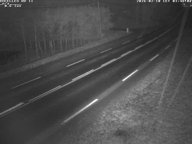 Webcam à 424 mètres d'altitude dans la Tranchée de Docelles dans les Vosges, à proximité d'Epinal sur la route de Gerardmer (D11)