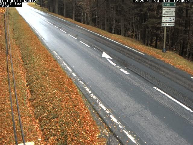 <h2>Caméra du Collet sur la route de Colmar (D417)</h2>