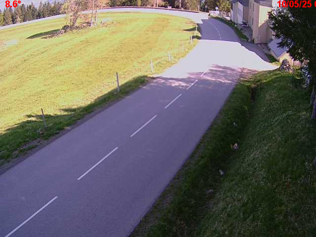 Webcam en haut du col du Ballon d'Alsace sur la D465 à 1075 mètres d'altitude dans les Vosges