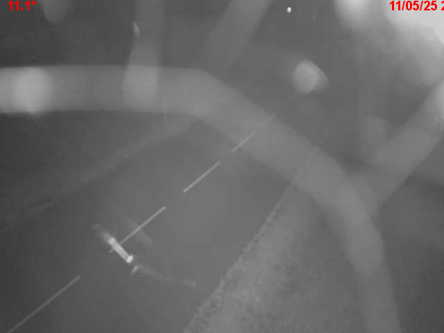 Webcam en haut du col du Ballon d'Alsace sur la D465 à 1075 mètres d'altitude dans les Vosges