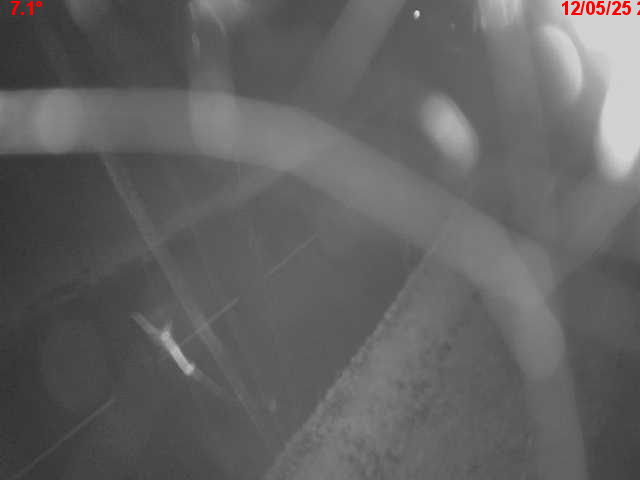Webcam en haut du col du Ballon d'Alsace sur la D465 à 1075 mètres d'altitude dans les Vosges