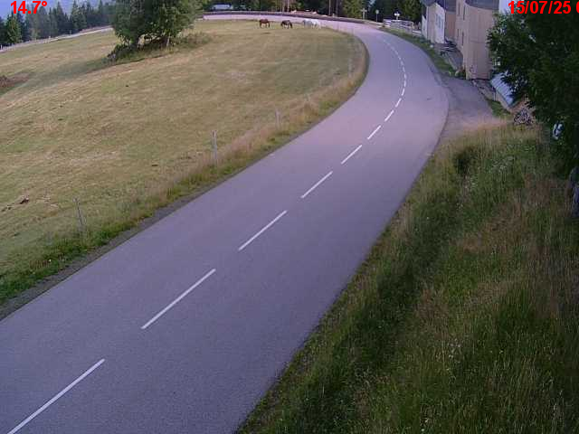 Webcam en haut du col du Ballon d'Alsace sur la D465 à 1075 mètres d'altitude dans les Vosges